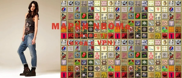 индика Осташков